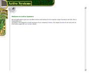 Active Systems