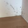 Uploaded by visitor on 2016/01/20 - Moist penetration behind built-in cupboards