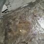 Uploaded by visitor on 2016/01/20 - Poor workmanship!