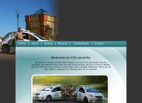 Cectronic's Security Systems