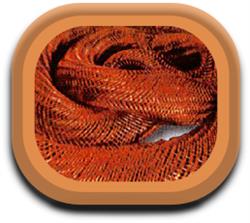 Copper Cables and Connectors