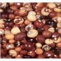 JUGO BEANS NUTS
