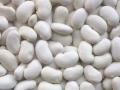 LOCAL-WHITE-BEANS