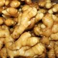 STRINGLESS-GINGER