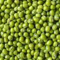 WHOLE GREEN MOONG DHALL