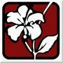 Hibiscus Insurance Brokers (Pty) Ltd
