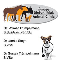 Lydenburg Dierekliniek