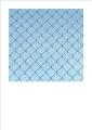 Diamond mesh (chain link fencing)