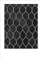 HEXAGONAL NETTING WIRE