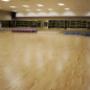 Dance Floor/ Gym Floor