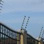 Domestic walltop fence