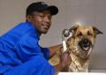 Dog Bathing at Southern Cross Vets