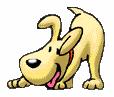Cute-Dog
