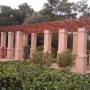 New pergola