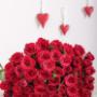 Red Roses in Cellophane