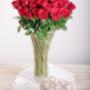 Red Roses in a Glass Vase