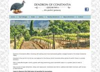 Dendron of Constantia