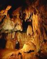 Day Tours