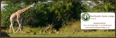 Bushlands Game Lodge