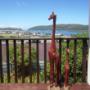Deck at Prospect Cottage