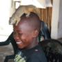 Discovering wildlife