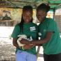 Uploaded by visitor on 2017/11/09 - children with our rabbit