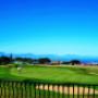 Golfers and view from balcony