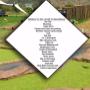 Things to do
