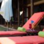 Pool area