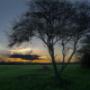 Andante sunset
