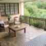 Hibiscus patio