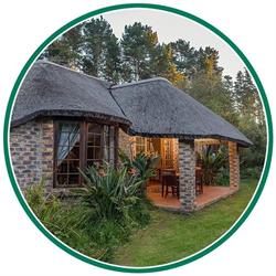 Coral Tree Cottages