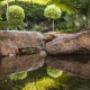 rock pond