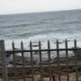 rock pools