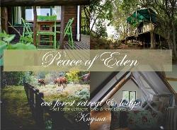 Peace Of Eden Traveler's Lodge, Backpackers and Self-Catering Chalets