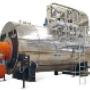Fire tube steam boiler