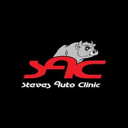 Steve's Auto Clinic Boksburg