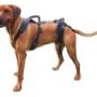 Holisticpet full body harness