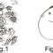 Before-and-After
