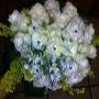 Boquet