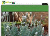 Karen SE Kruie's website