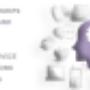 Assistance with social media campaigns and PR