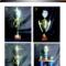 TROPHIES