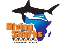 Diving With Sharks