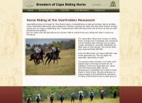 Cape Riding Horse