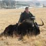 Black Wildebees Polowanie