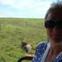 Drakensberg Safari