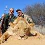Lion, Lew
