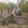 Polowania Kudu