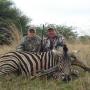 Zebra